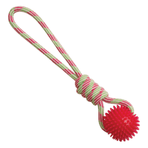 Snugarooz Spike-O-Mite Rope Dog Toy