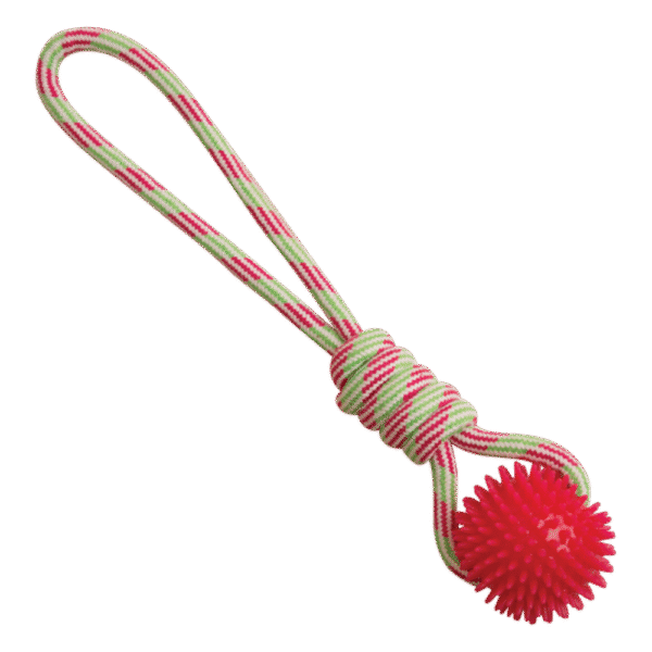 Snugarooz Spike-O-Mite Rope Dog Toy
