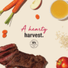 Beef Jerky Harvest Bars