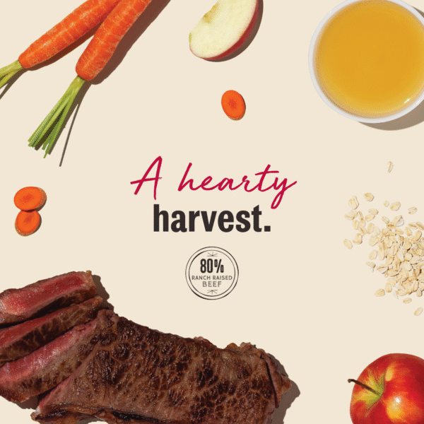 Beef Jerky Harvest Bars