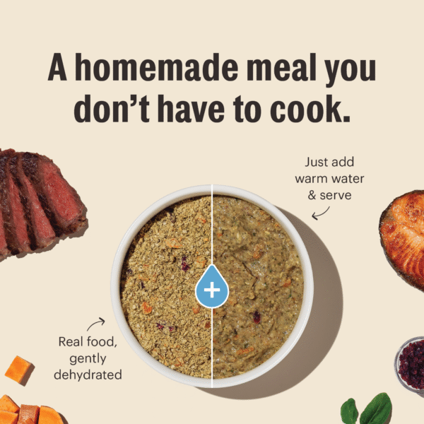 Dehydrated Grain Free Beef