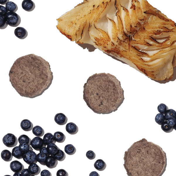 Superfood Cod Crisps - Blueberry