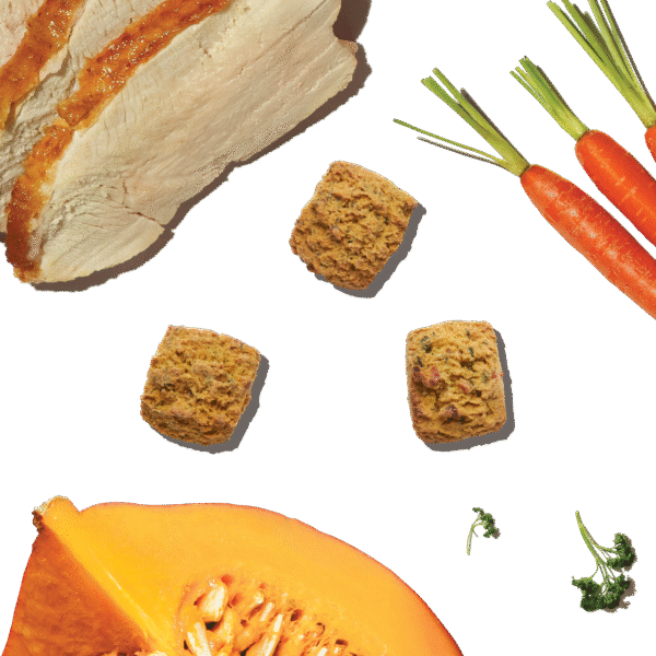 Turkey Bone Broth Bites with Pumpkin