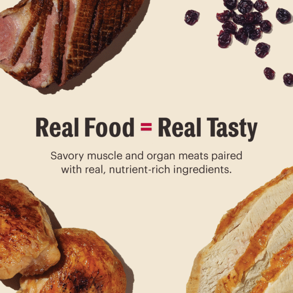 Grain Free Minced in Bone Broth Gravy: Variety Pack