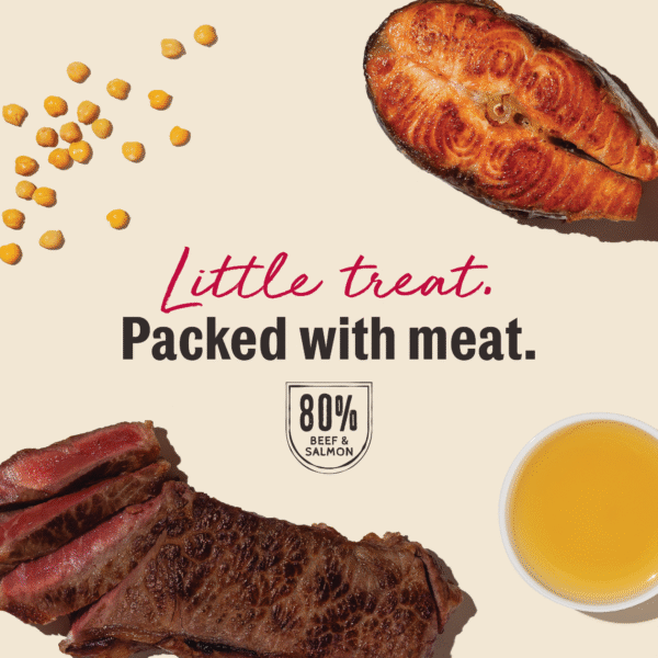 Beef & Salmon Meaty Littles