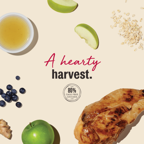Chicken Jerky Harvest Bars