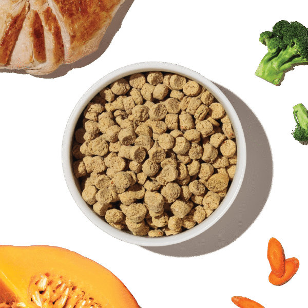Grain Free Chicken Whole Food Clusters for Puppies