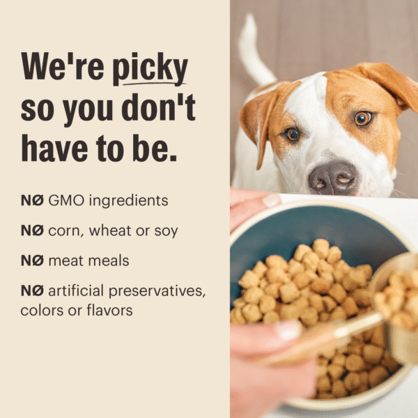 Grain Free Chicken Whole Food Clusters for Small Breeds