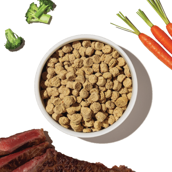Grain Free Beef Whole Food Clusters for Small Breeds