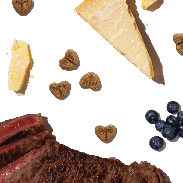 Parmesan Pecks: Beef & Blueberry