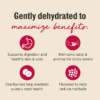 Grain Free Turkey Dehydrated Cat Food