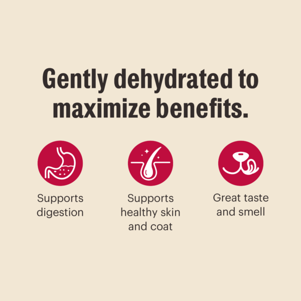 Dehydrated Grain Free Beef