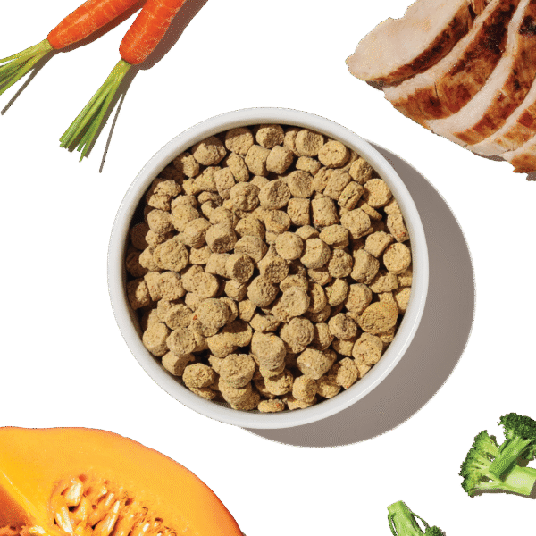 Grain Free Chicken Whole Food Clusters for Small Breeds