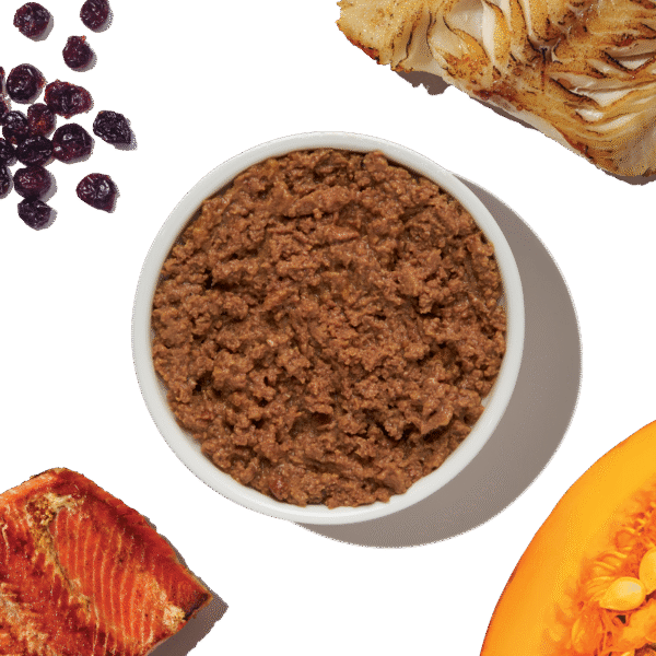 Grain Free Salmon & Cod Câté (Pâté)