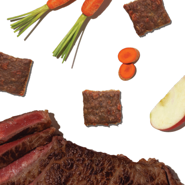 Beef Jerky Harvest Bars
