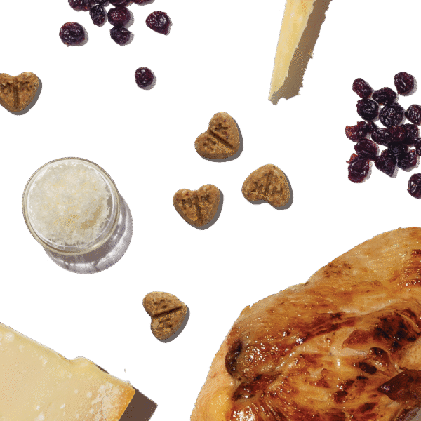 Parmesan Pecks: Chicken & Cranberry