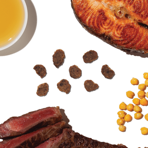 Beef & Salmon Meaty Littles